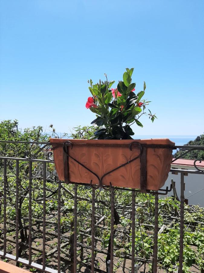 Apartamento Casa Almary